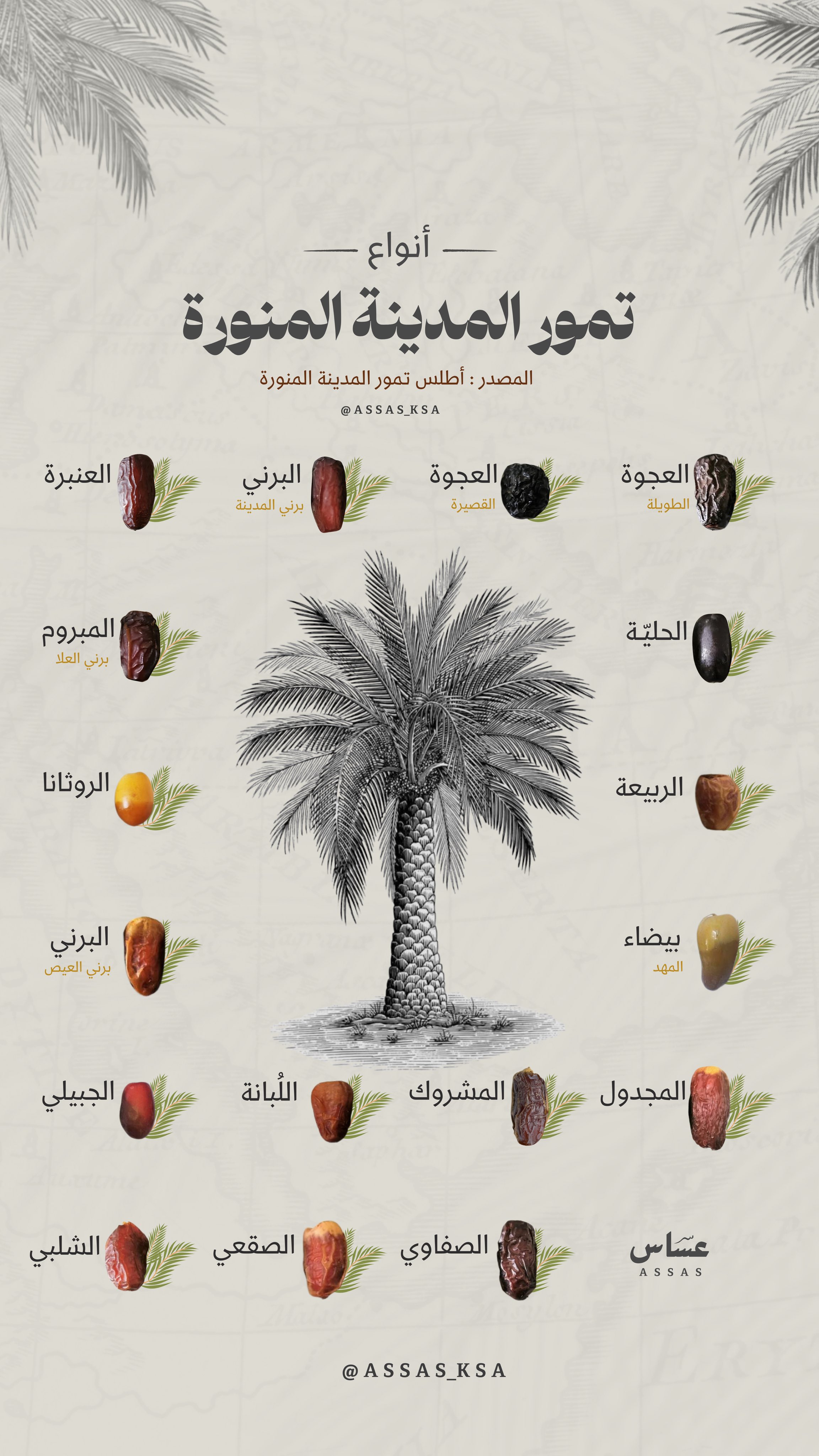 الأسواق تستقبل تمور المدينة